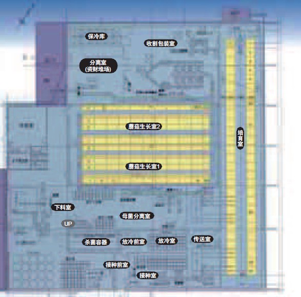食用菌冷庫設(shè)計圖